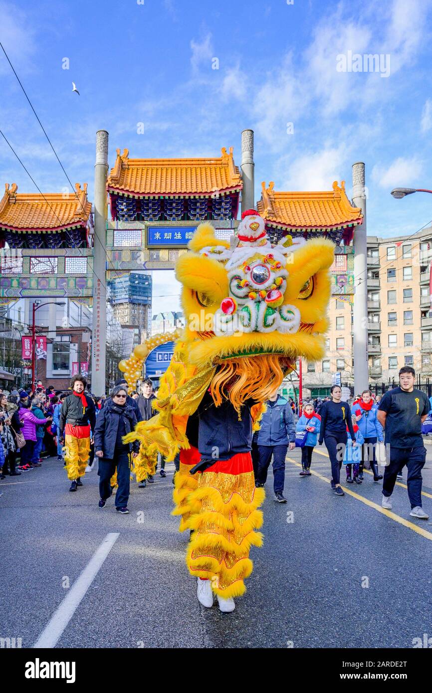 Lion dancer, Chinese Lunar New Year Parade, Chinatown, Vancouver