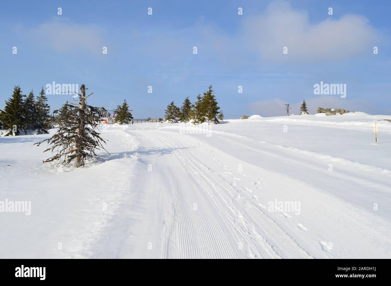 Snowy road besides dead spruce tree, covered by snow, footprints and different snow vehicles trials, leading to ski lift in distance, Kopaonik ski res Stock Photo