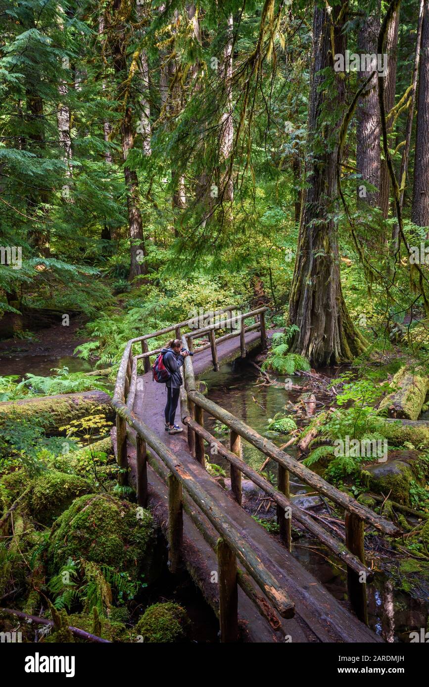 Young woman hiker with camera on McKenzie River National Recreation Trail, Willamette National Forest, Oregon. Stock Photo