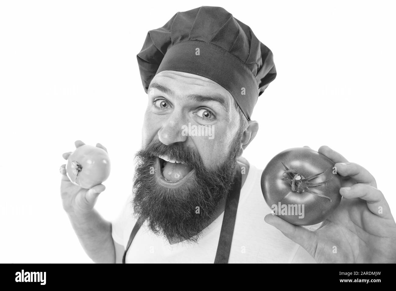 Cook in uniform holds vegetables. Ripe tomato for delicious meal. Eat fresh tomato. Pick one. Tomato sauce recipe. Healthy cooking concept. Man with beard on white background. Chef holds tomatoes. Stock Photo
