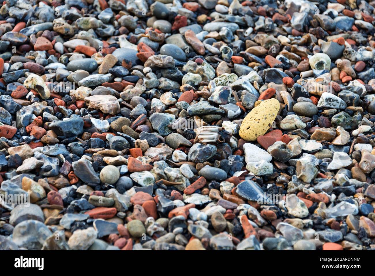 Herbivore tooth and yellow brick lying among fragments of brick, flint, chalk, and river stones, Greenwich, London. Stock Photo