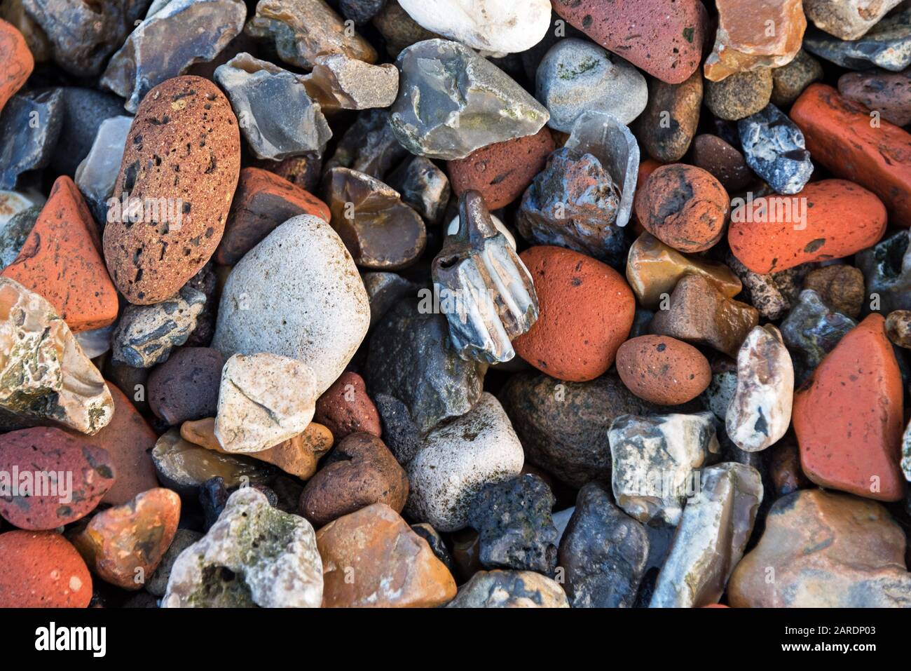 A large herbivore tooth among brick and chalk pebbles, Greenwich, London. Stock Photo