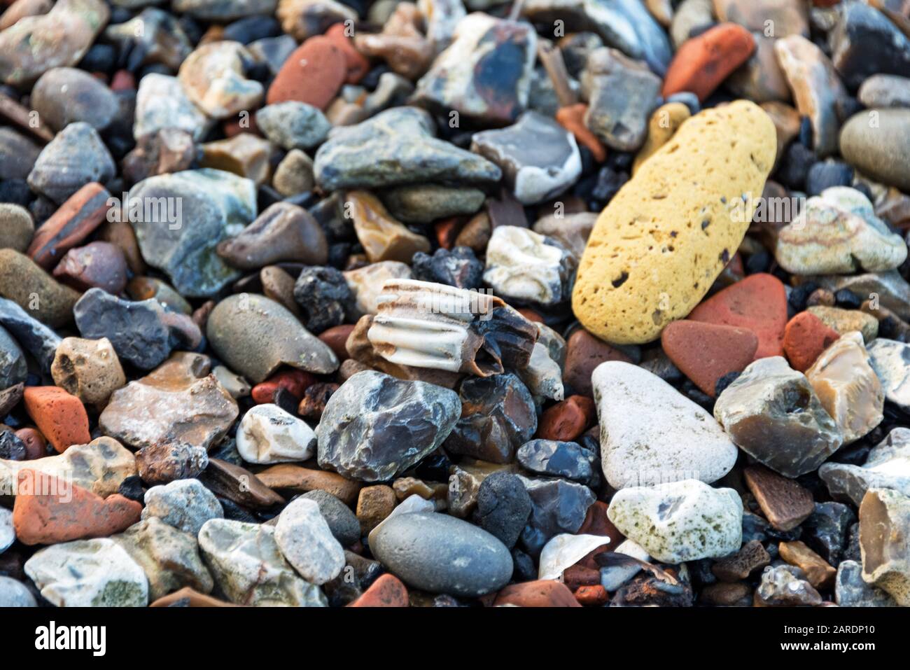Herbivore tooth and yellow brick lying among fragments of brick, flint, chalk, and river stones, Greenwich, London. Stock Photo