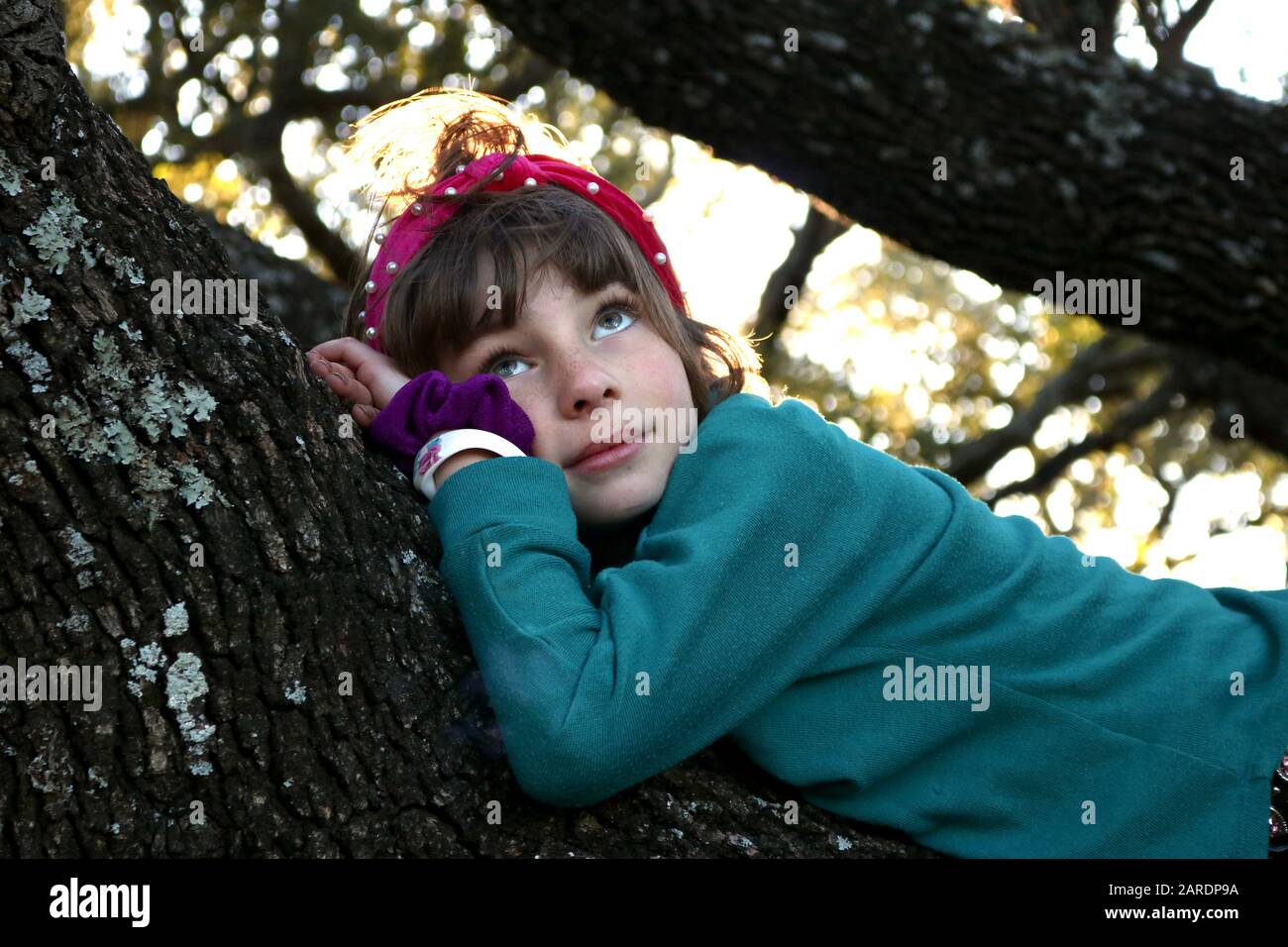 Portrait of a child laying on a branch of an old tree daydreaming Stock Photo