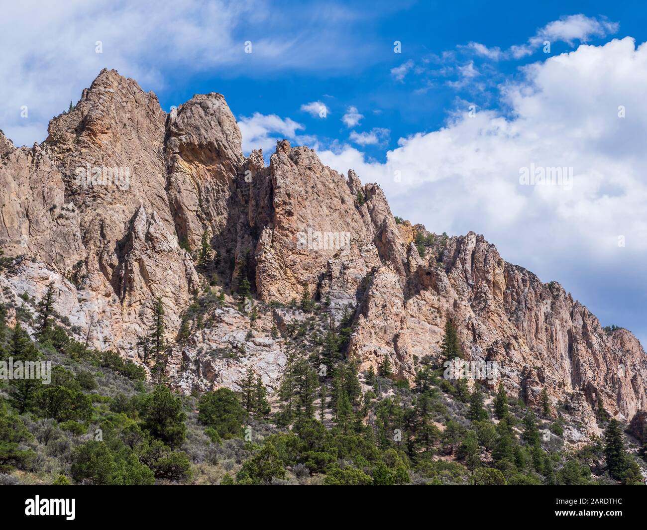 Sheep Creek Canyon Geological Area, Ashley National Forest, Utah Stock