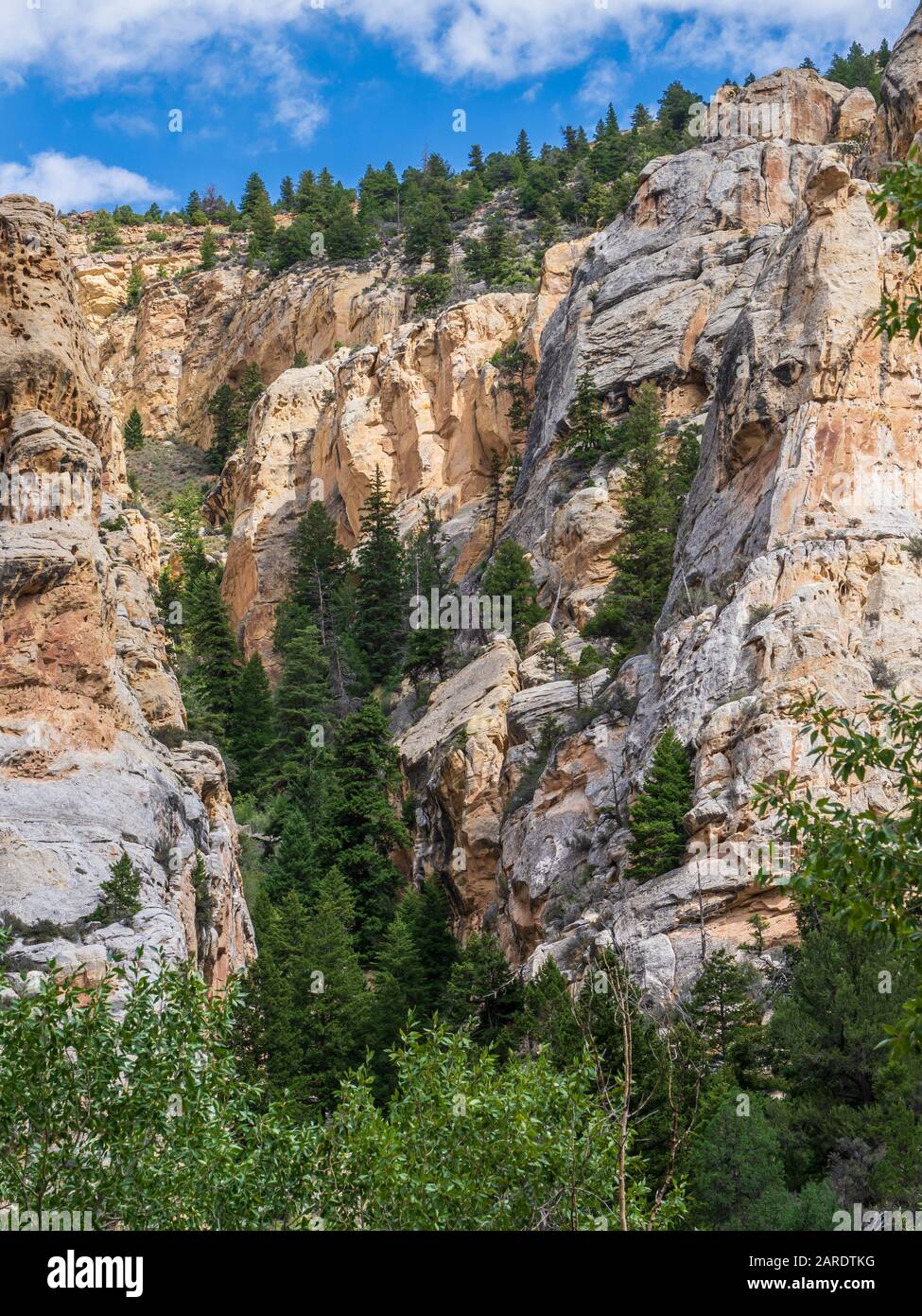 Sheep Creek Canyon Geological Area, Ashley National Forest, Utah Stock