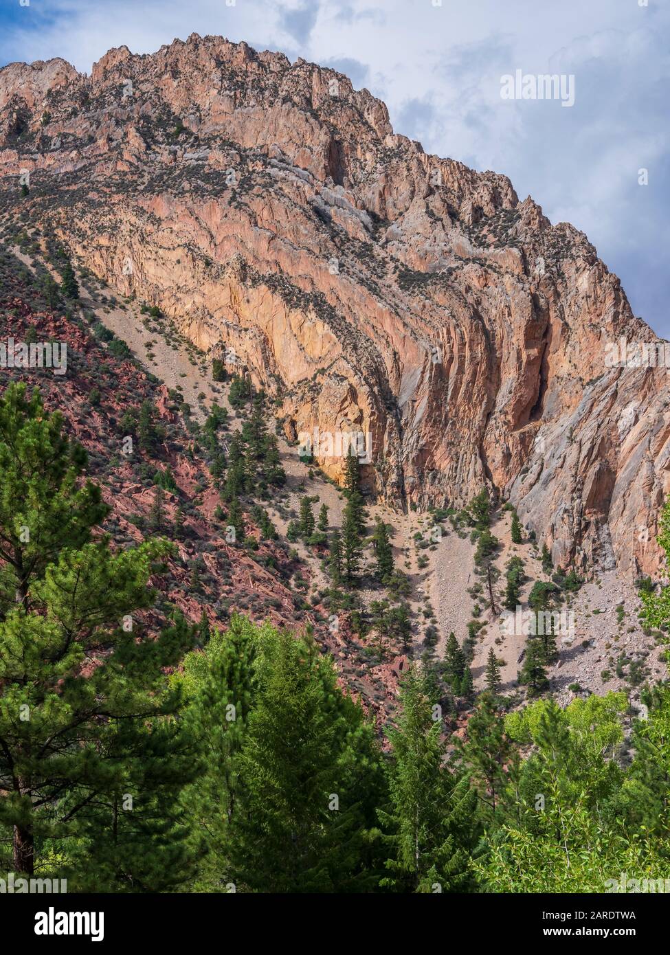 Twisted rock layers, Sheep Creek Canyon Geological Area, Ashley National Forest, Utah. Stock Photo