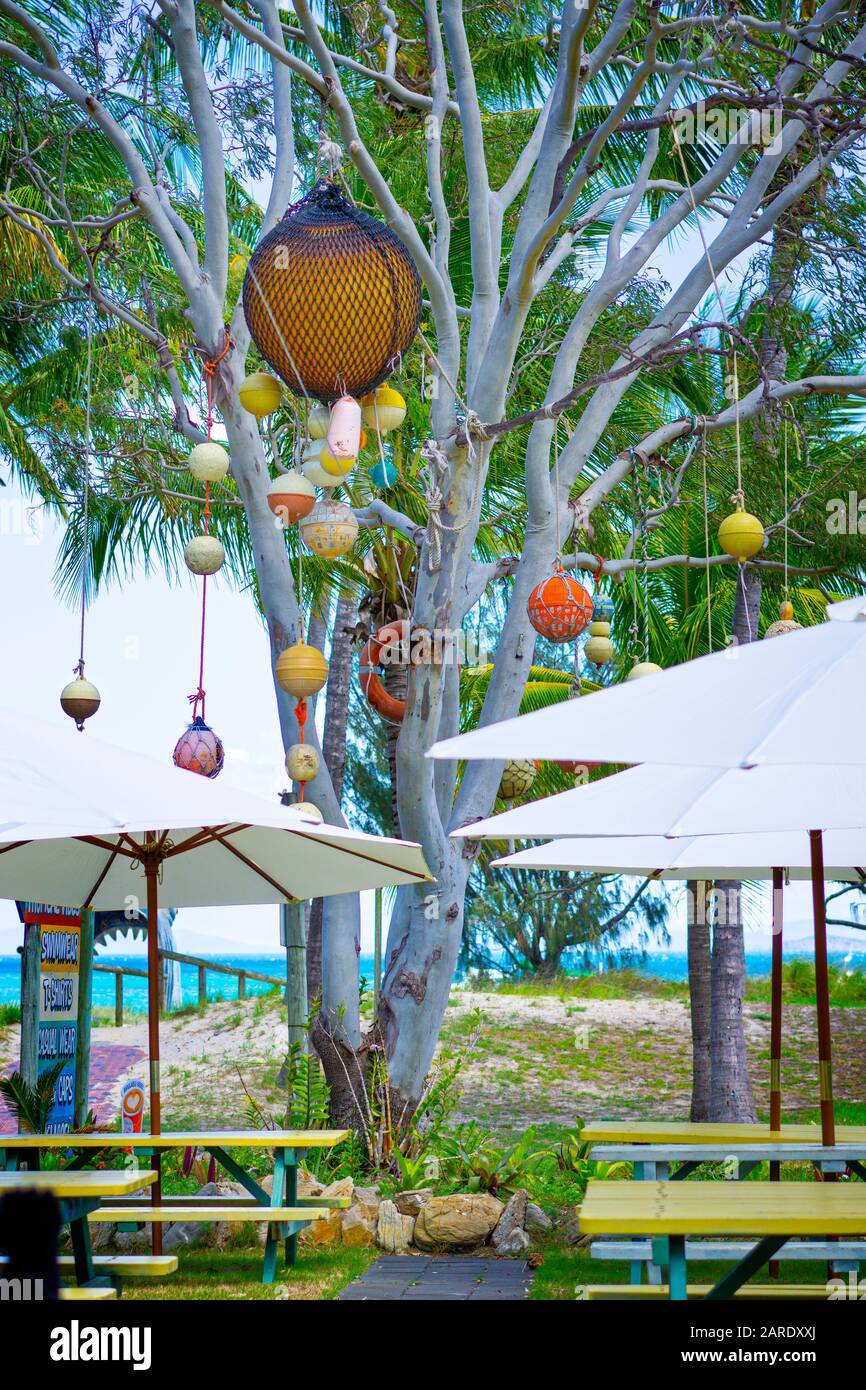 Flotsam and jetsam decorating a tree on Great Keppel Island. Stock Photo
