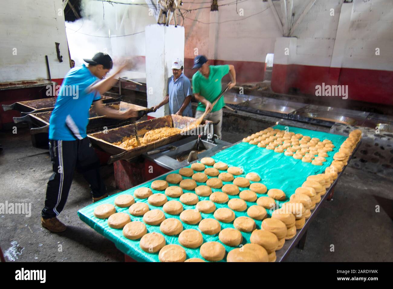 Trapiche, milling of sugar cane for the elaboration of Panela. La