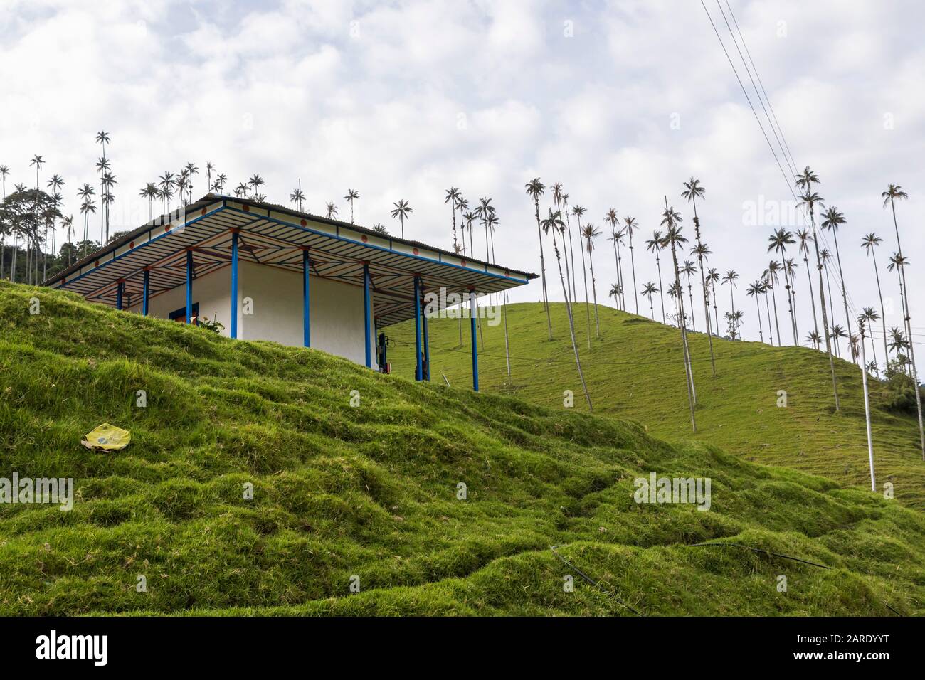 Cocora Valley Municipality Of Salento Quindio Located In The Colombian Andes Is A Town With Traditional Architecture Cocora Valley Home Of The Pal Stock Photo Alamy