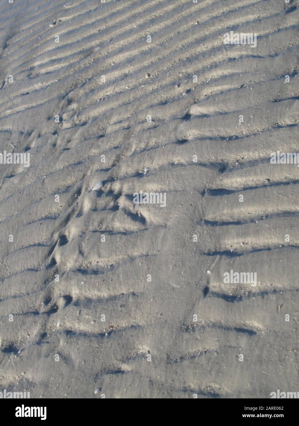 Tractor tracks in sand on beach Stock Photo