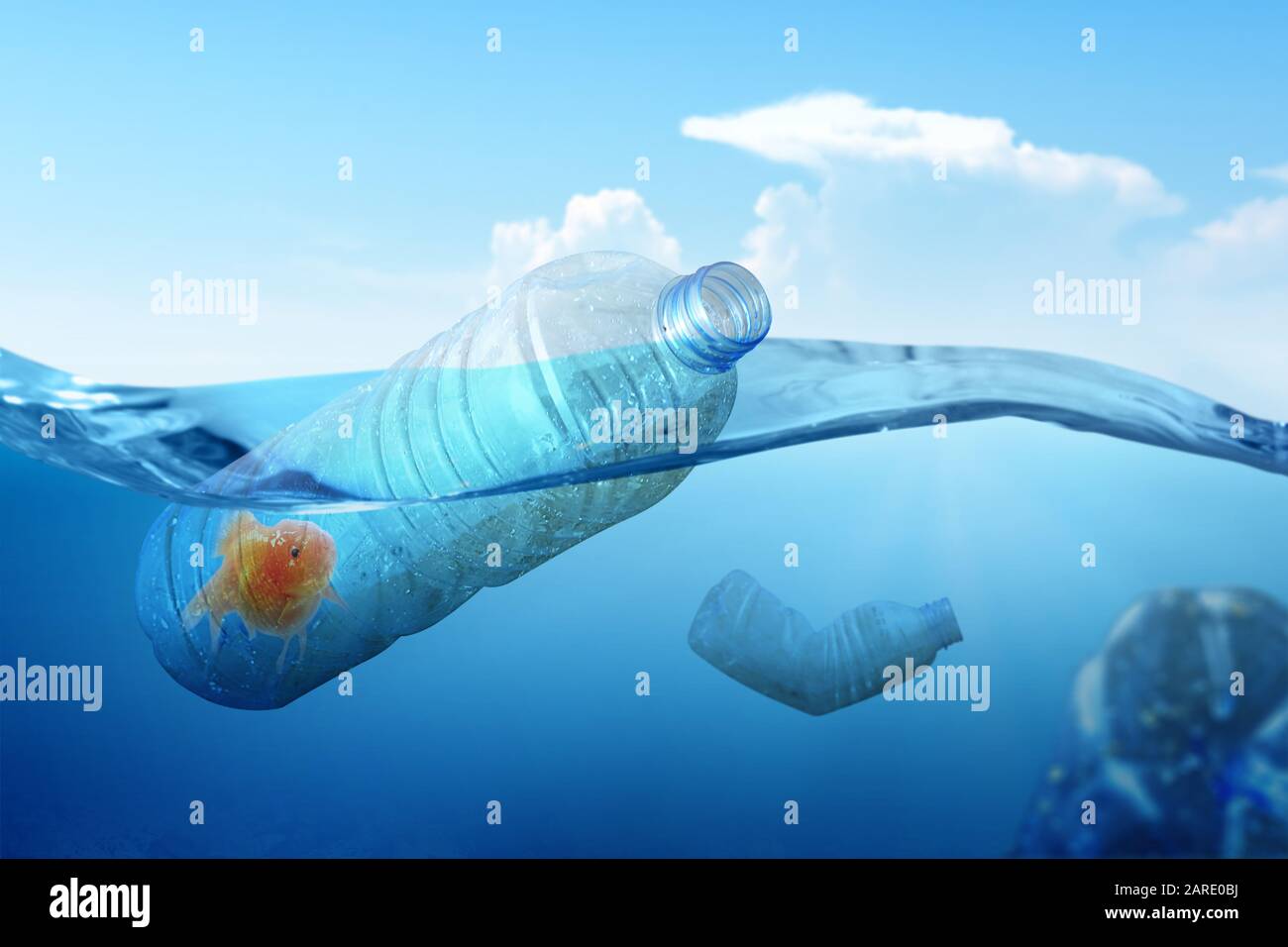 Goldfish trapped on the plastic bottle on the ocean. Plastic pollution Stock Photo