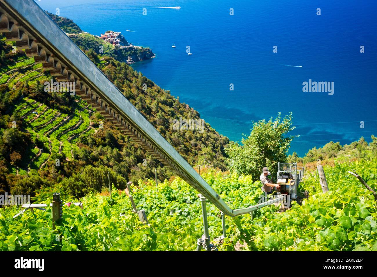 Monorail system used to access terraced vineyards in Cinque Terre near Volastra village Stock Photo