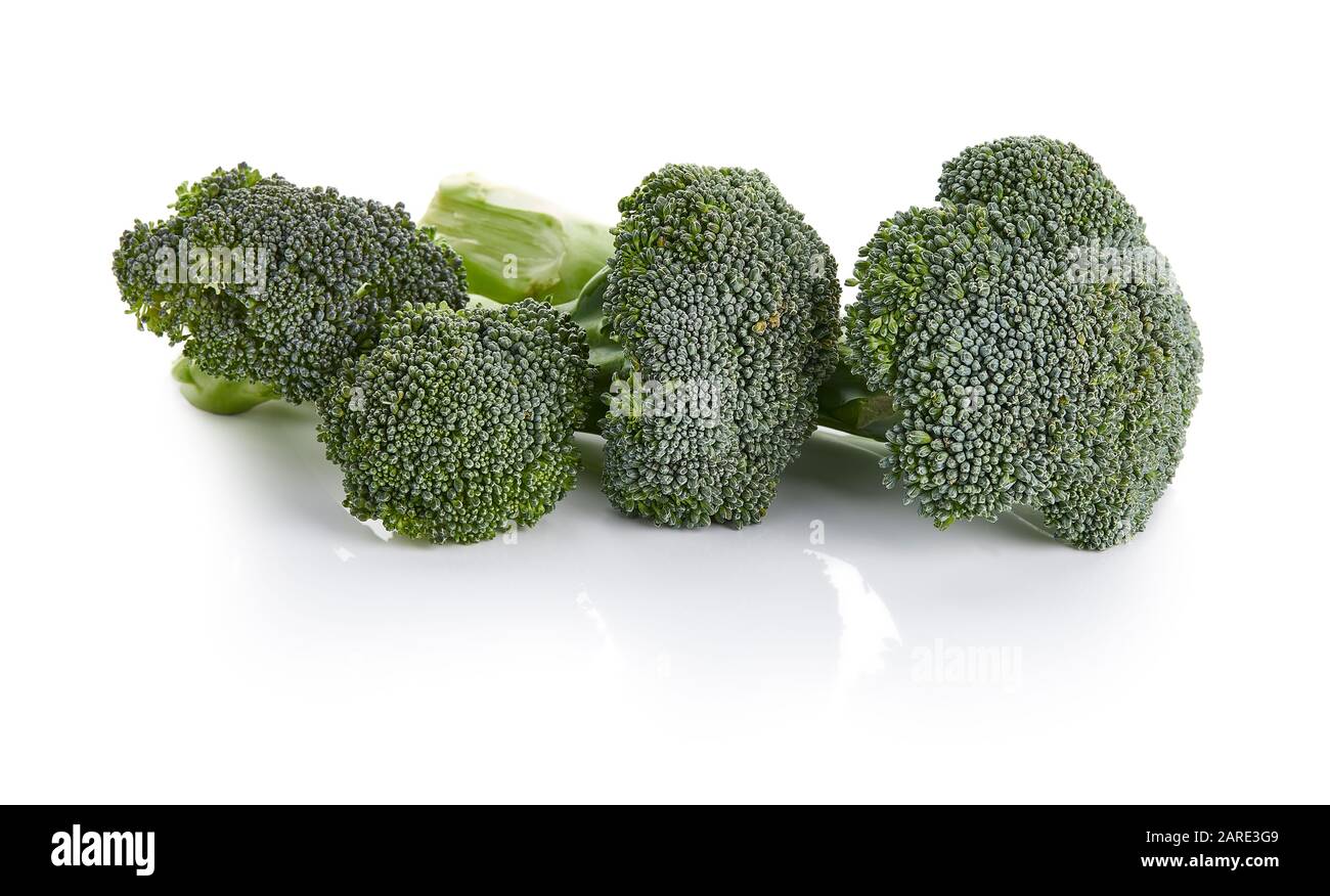 Fresh Broccoli Isolated on White Background Stock Photo