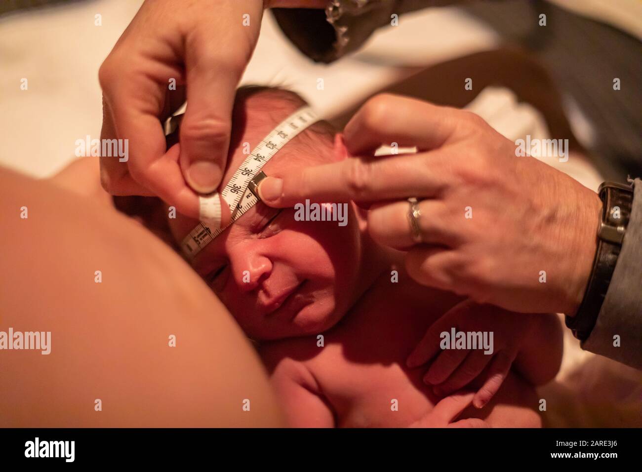 A close up shot with shallow depth of field as a midwife obstetric nurse uses measuring tape. to check circumference size of newborn baby head Stock Photo