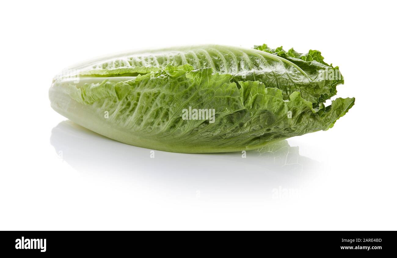 Romaine Lettuce Isolated on White Background Stock Photo