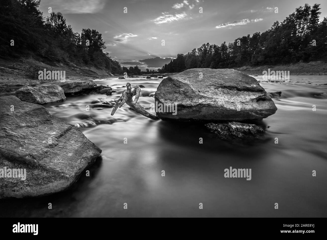 Surrounded by jungle Black and White Stock Photos & Images - Alamy