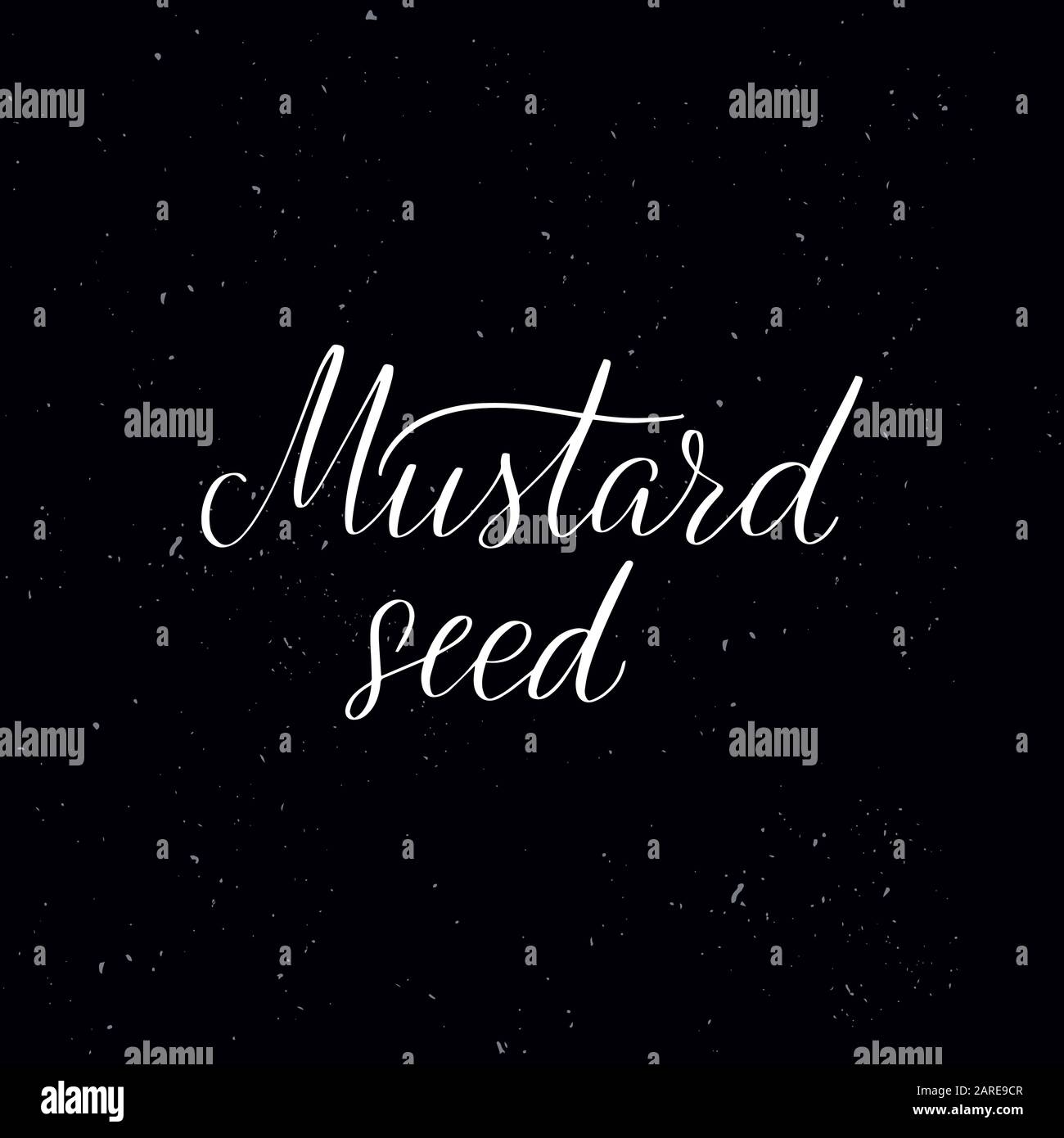 Handwritten calligraphy text, chalk on a blackboard Stock Vector Image