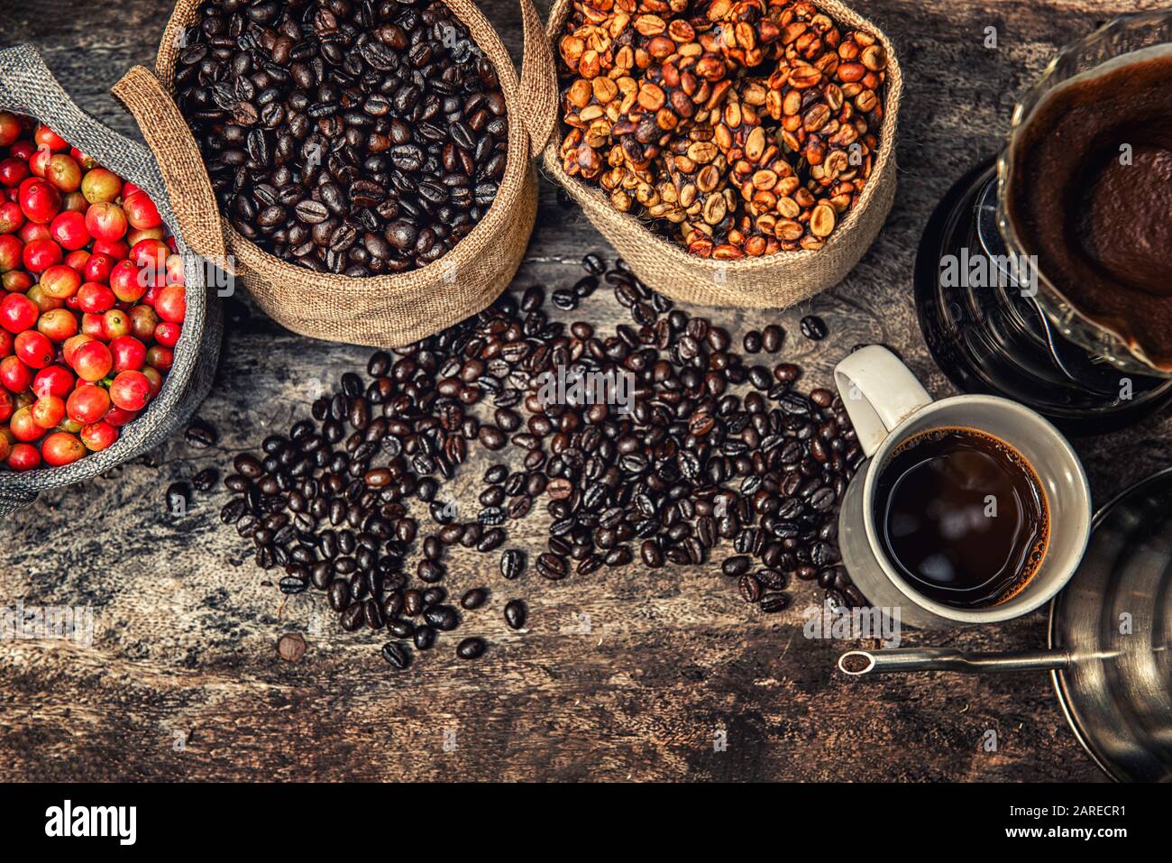 Robusta, Arabica, coffee berries, coffee beans. Top view with copy