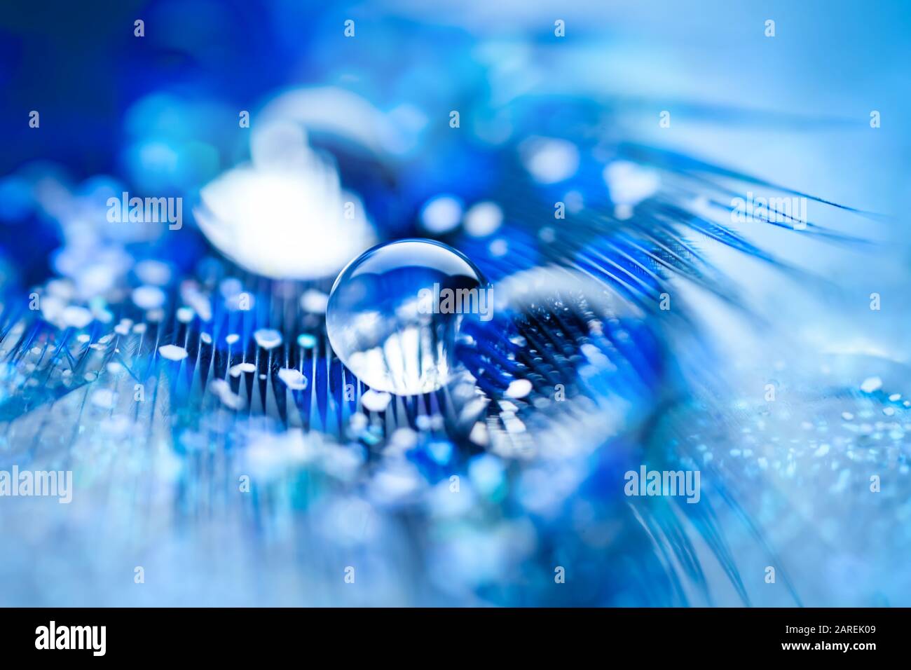 Beautiful Transparent Water Drops Or Rain Water On Soft Background Macrophotography Desktop Background Selective Focus Stock Photo Alamy