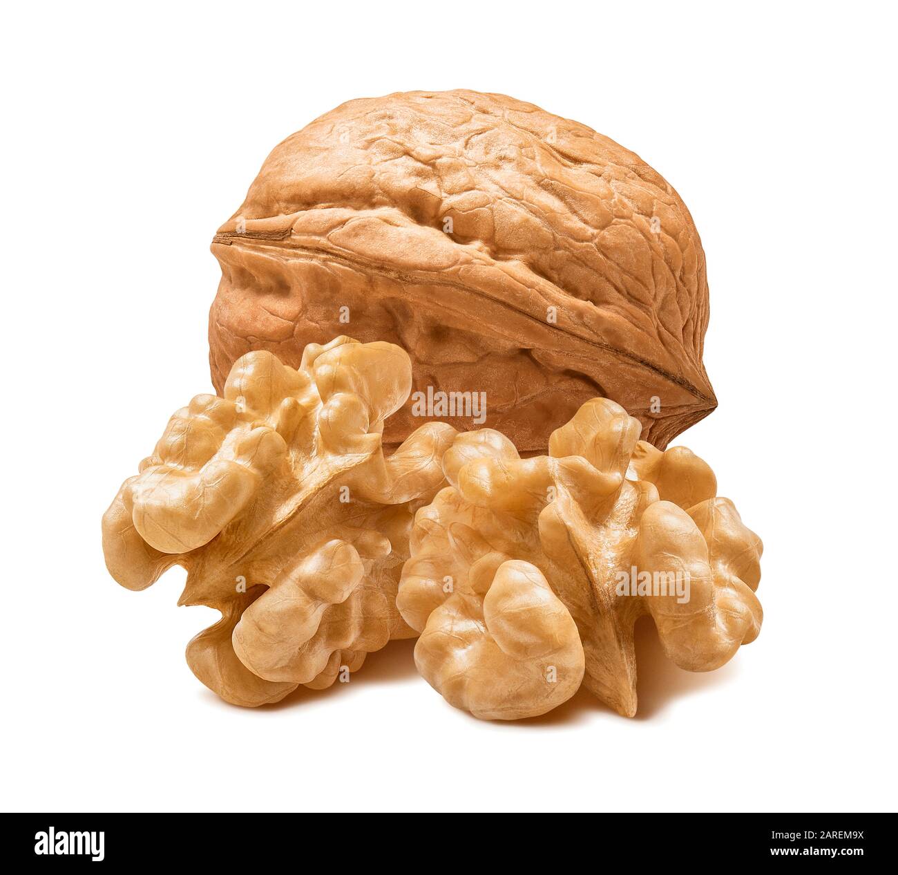 Fresh walnut nut isolated on white background. Package design element with clipping path. Stock Photo