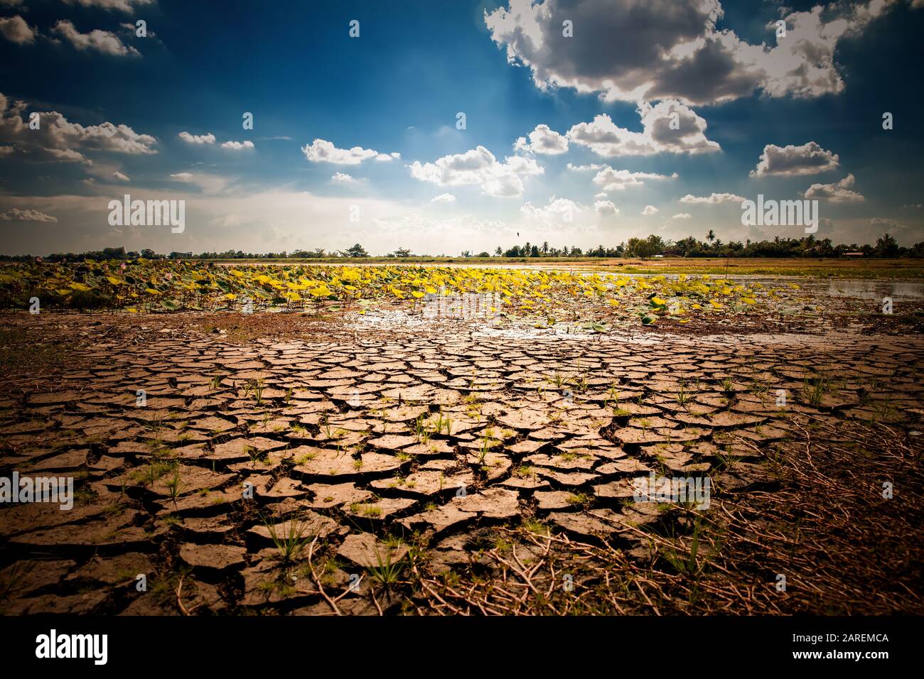 Global warming background hi-res stock photography and images - Alamy