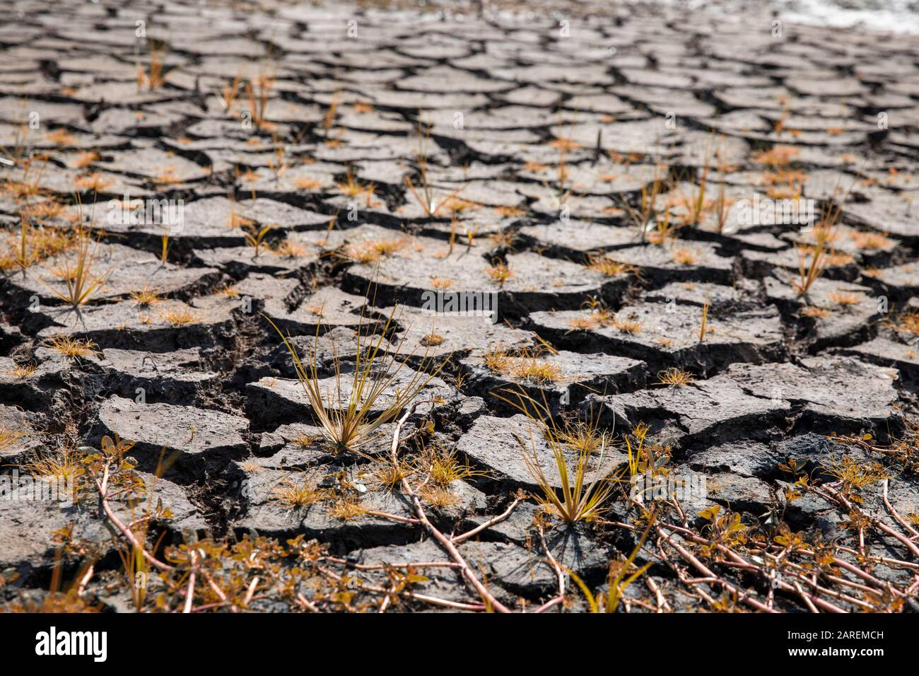 Land with dry and cracked ground. Global warming background Stock Photo ...