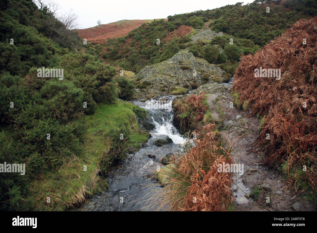 Path leading up through Ashes Hollow on the Long Mynd near Little Stretton, Shropshire, UK. Stock Photo