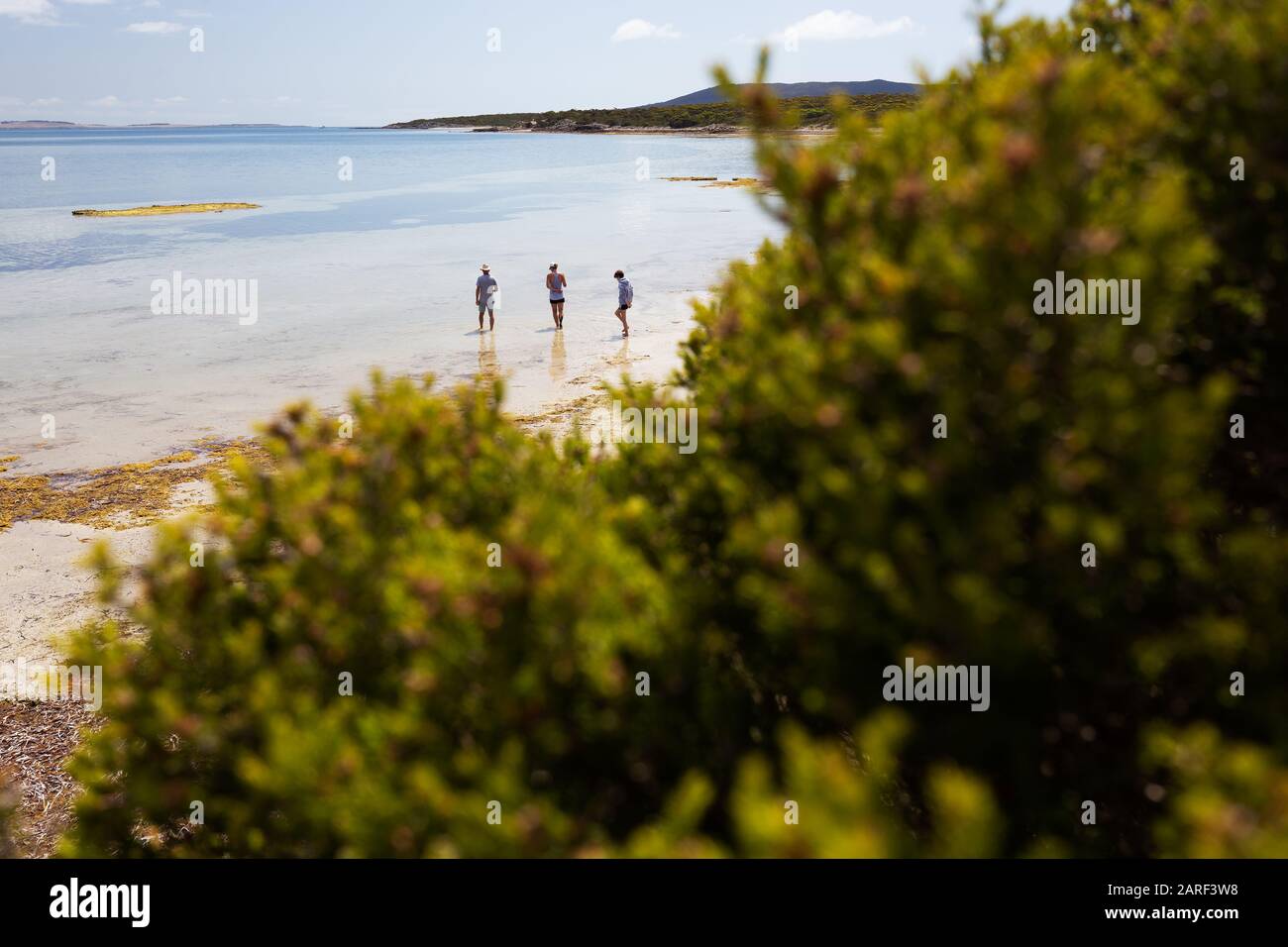 Family exploring at low tide at beautiful beach on sunny summer day in South Australia. Stock Photo