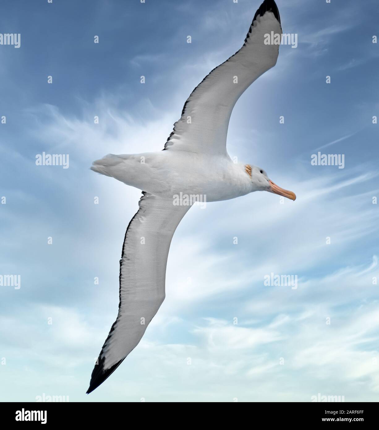 My Image 72