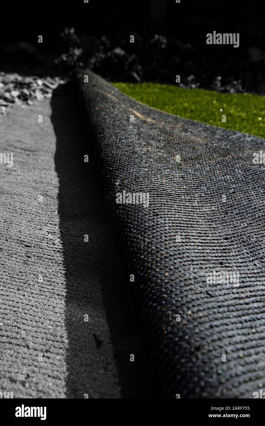 Laying artificial grass turf onto sand in a back garden yard. With