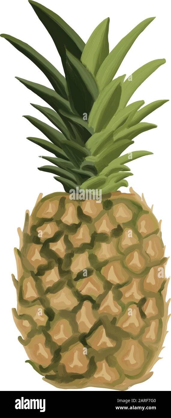 Tropical pineapple fruit in oil, vector Stock Vector Image & Art - Alamy