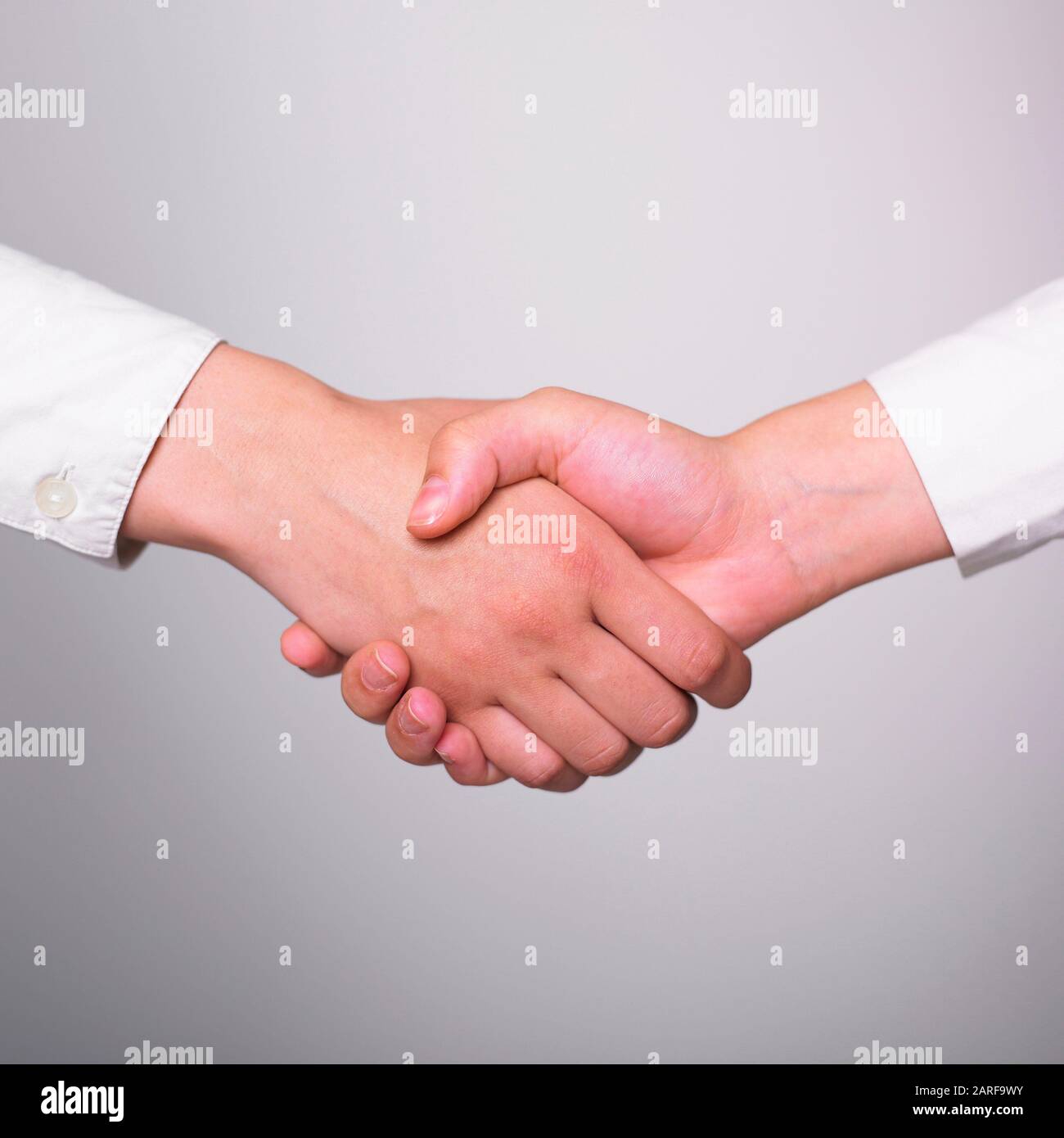 Two hands in Handshake Business Handshaking Stock Photo Alamy