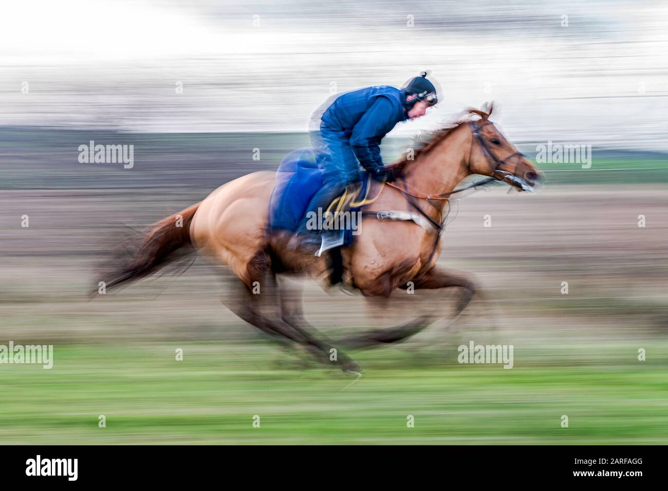 Racehorse Stables High Resolution Stock Photography And Images Alamy