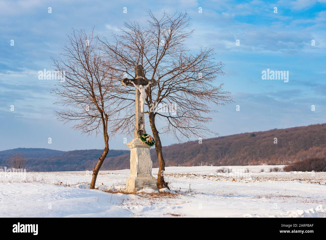 Gods tortue near Velka Trna, Tokaj region, Slovakia. Stock Photo
