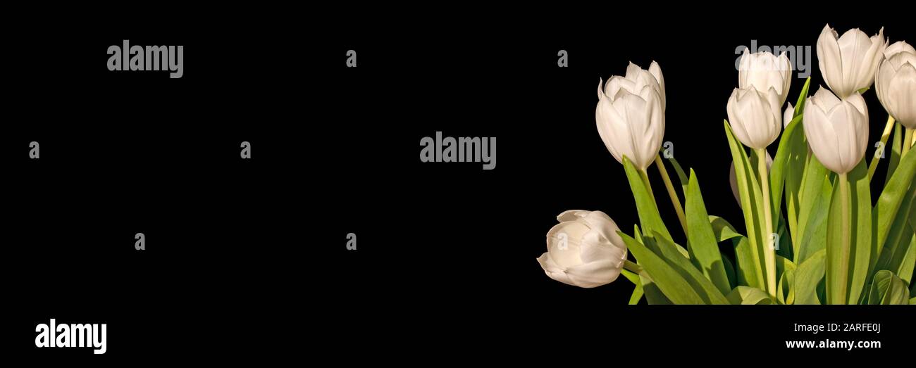 Black panoramic hi-res stock photography and images - Alamy