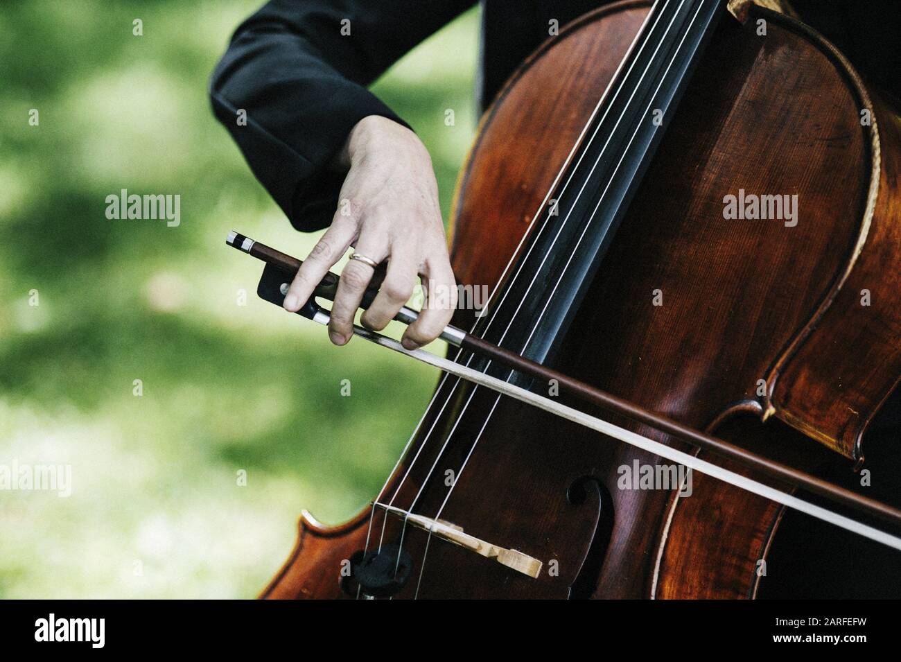 Viola Player Stock Photos & Viola Player Stock Images Alamy