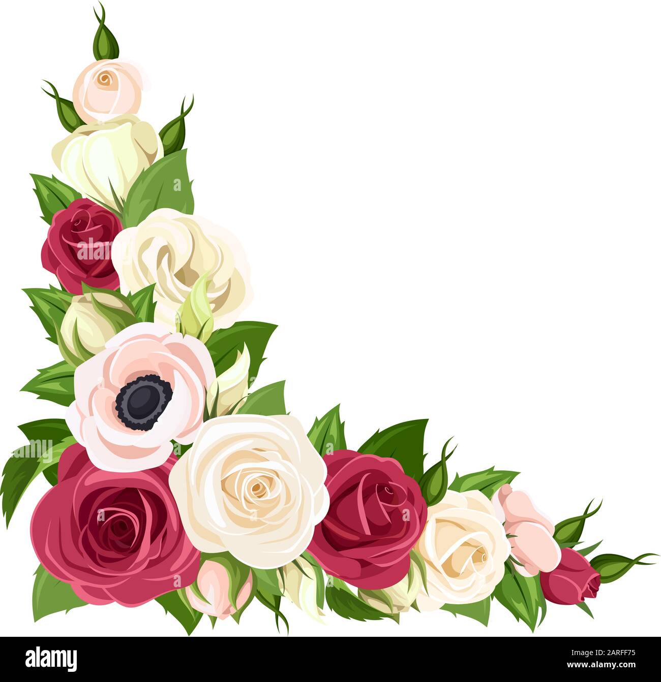 Fondo de esquina vectorial con rosas rojas, rosas y blancas, lisianthuses y flores de anémona Imagen Vector de stock - Alamy