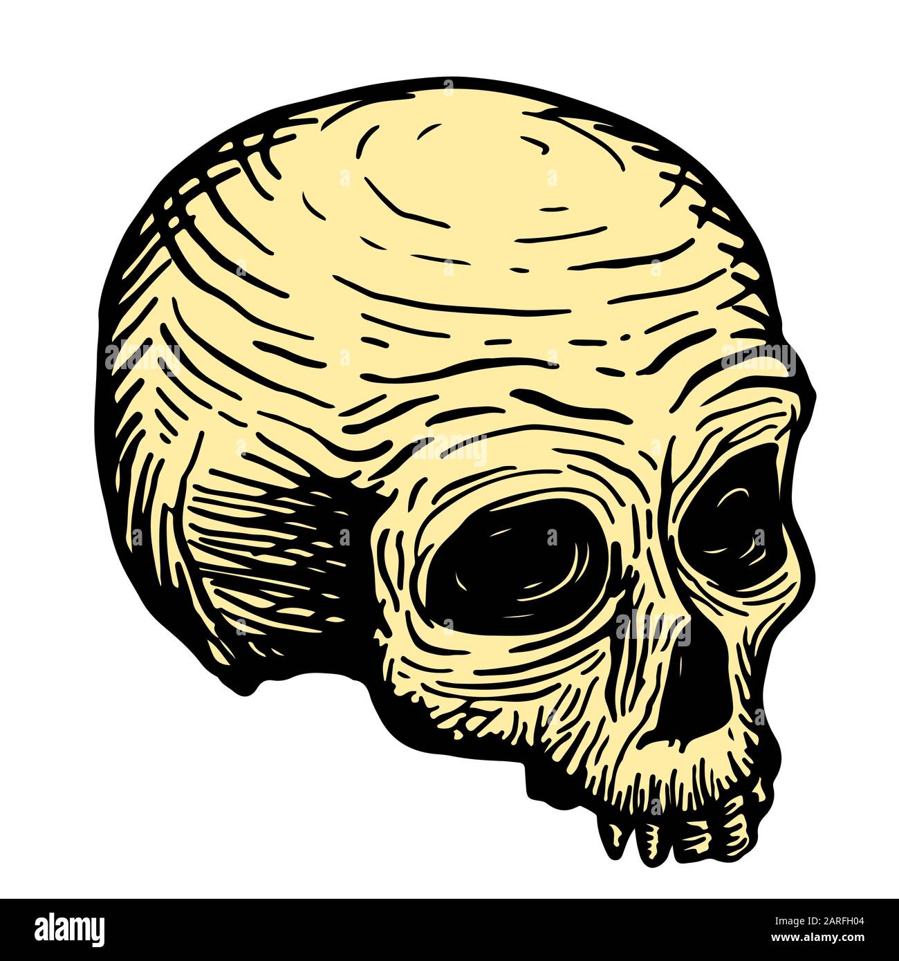 Vector skull head. Print design. Vector illustration Stock Vector