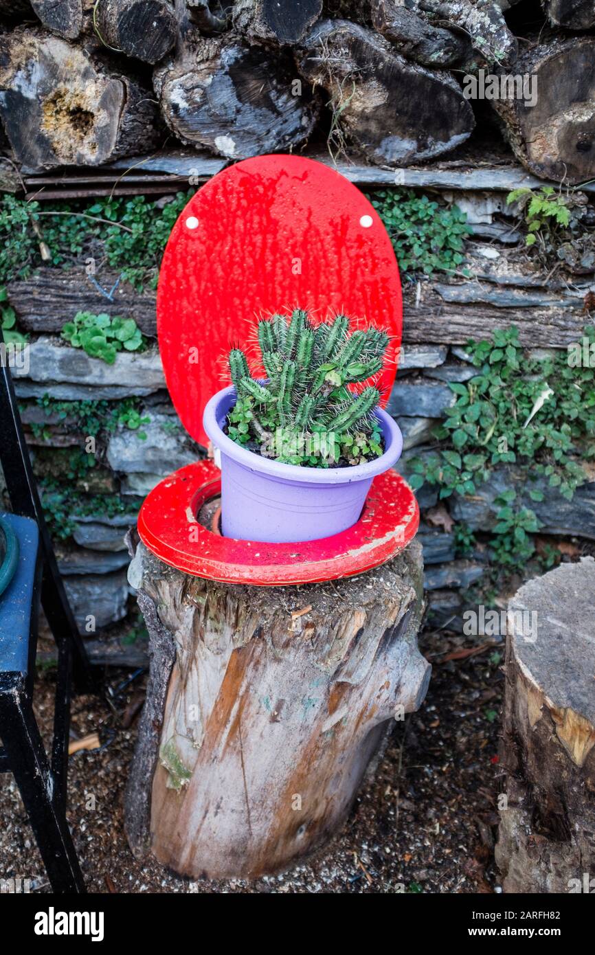 Toilet seat up red bathroom hires stock photography and images Alamy