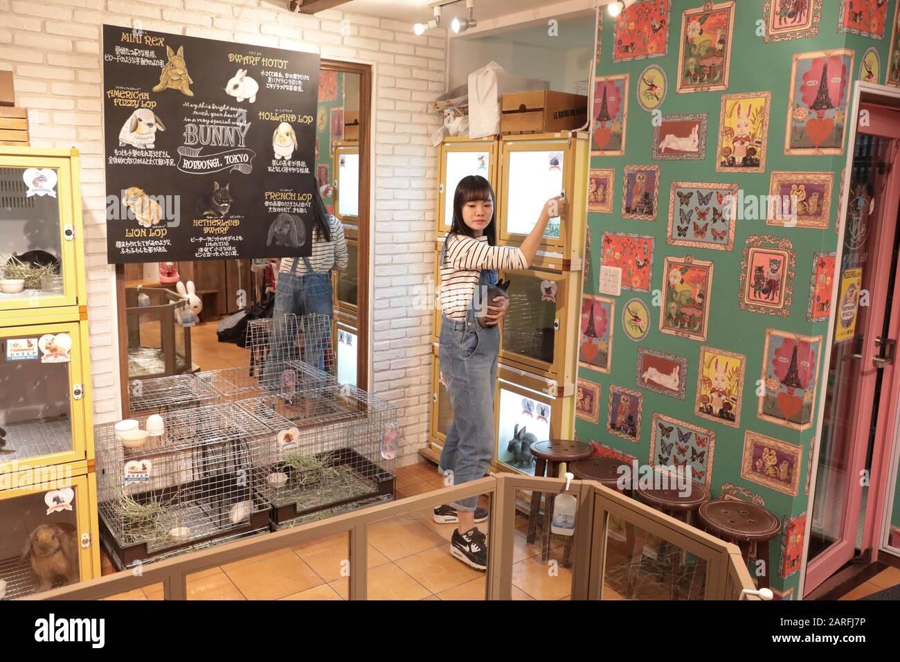 Animal cafe japon hi-res stock photography and images - Alamy