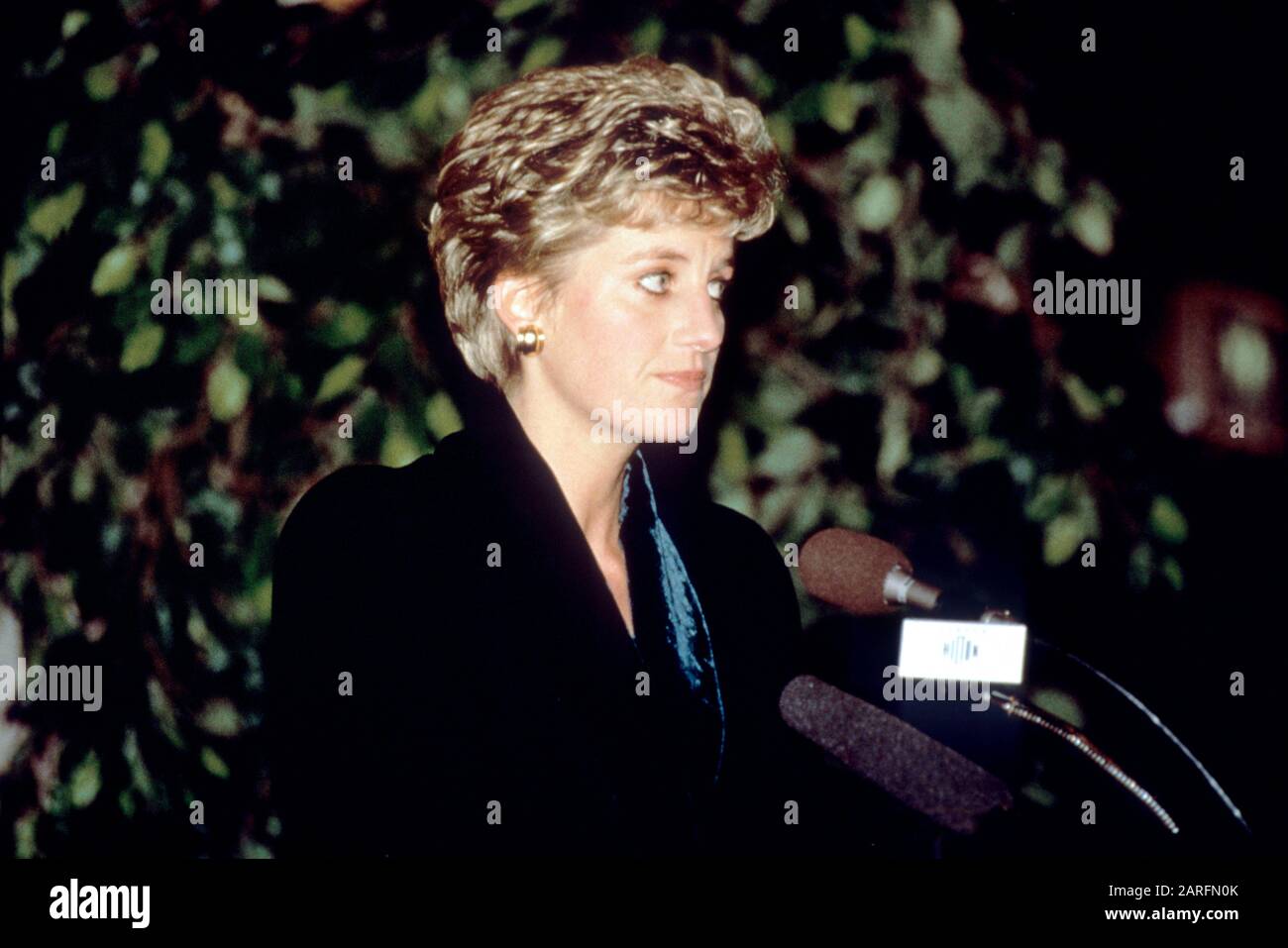 HRH Princess Diana bows out from public life with a speech at the Hilton Hotel, London, England December 3rd 1993, Stock Photo