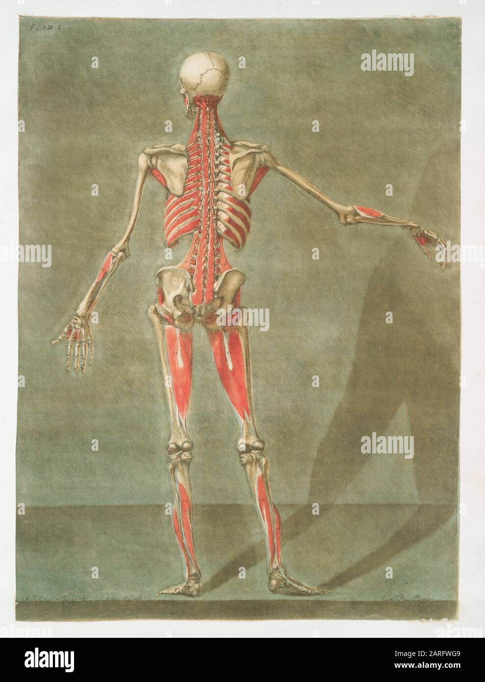 Pl 63 hi-res stock photography and images - Alamy