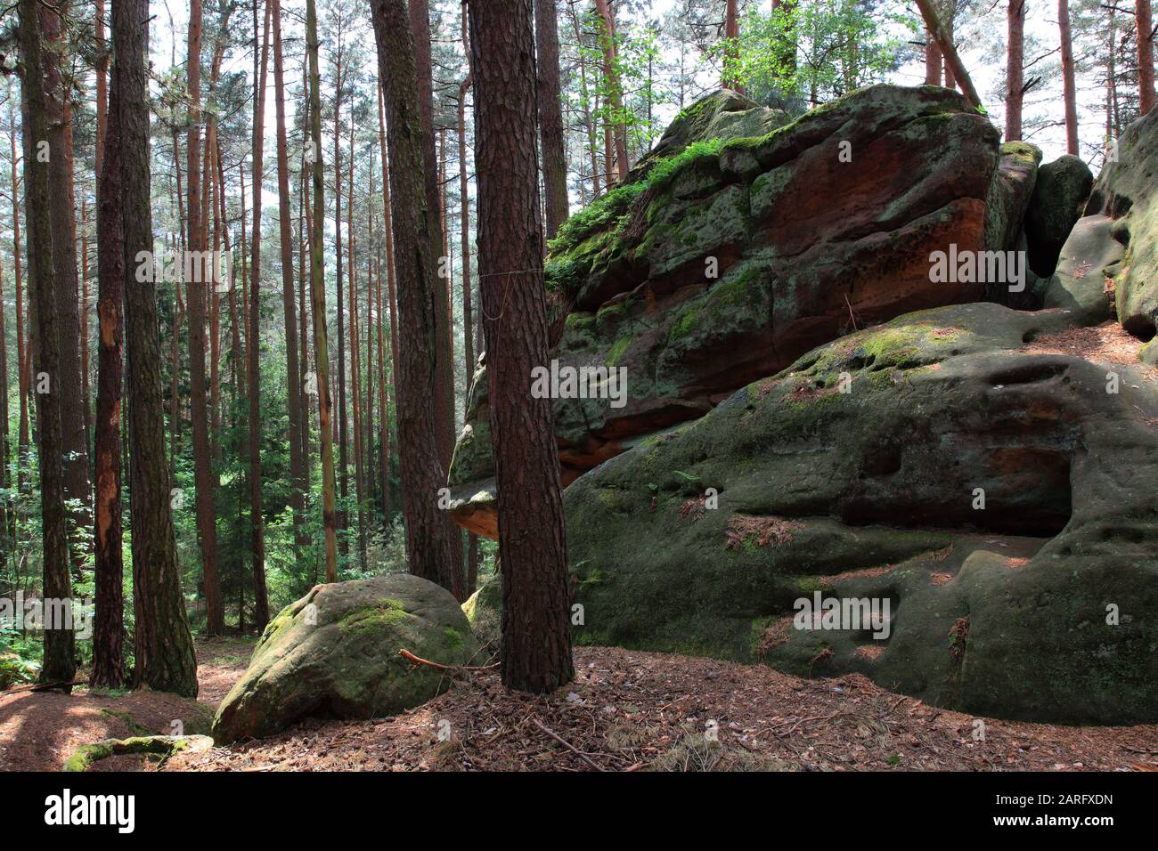 Ernst Michel Felsen nahe Mainleus, Landkreis Kulmbach, Oberfranken, Bayern, Deutschland  /  Ernst-Michel rocks near Mainleus, district of Kulmbach, Up Stock Photo