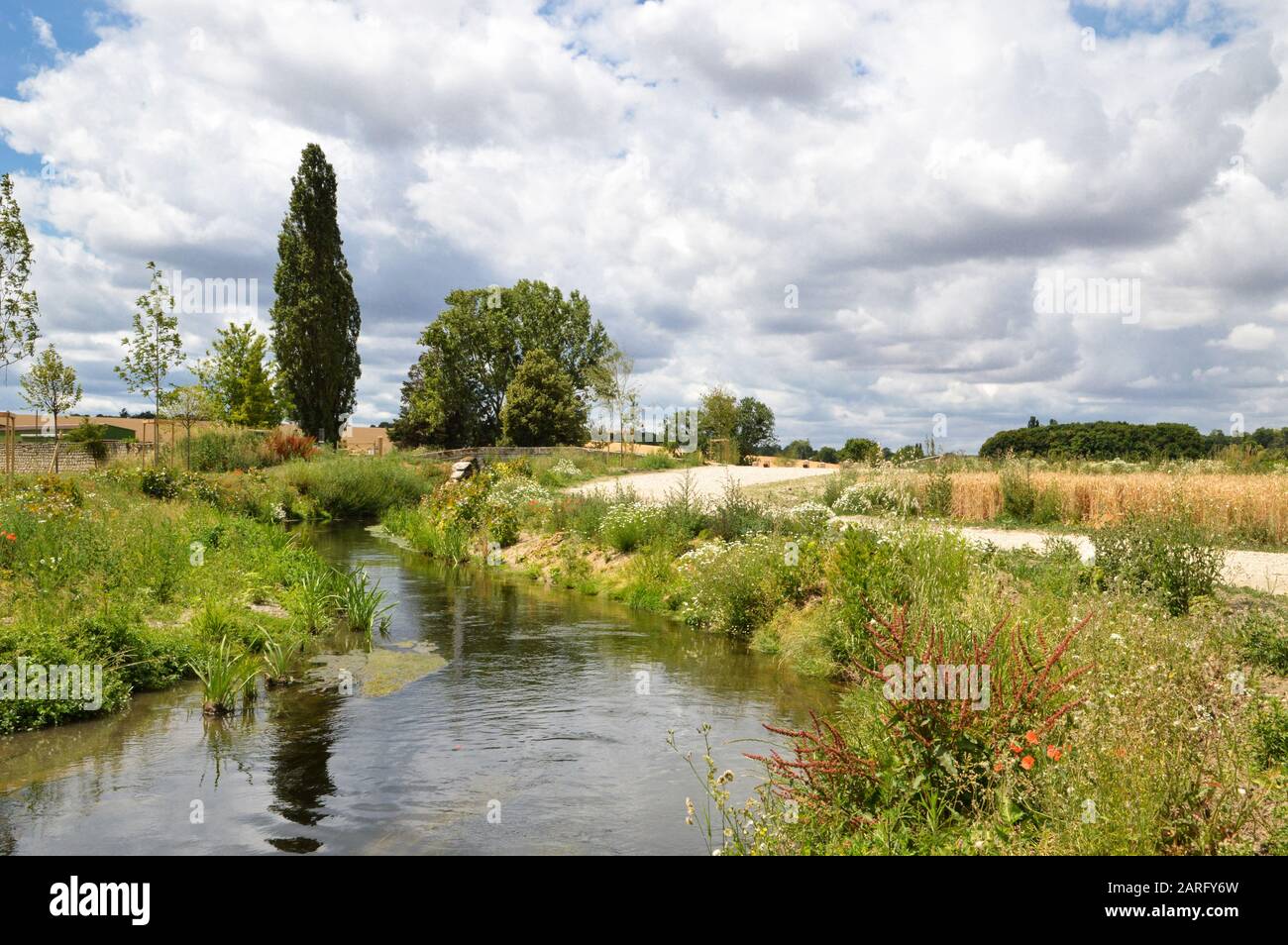 countryside landscape with stream and trees Stock Photo