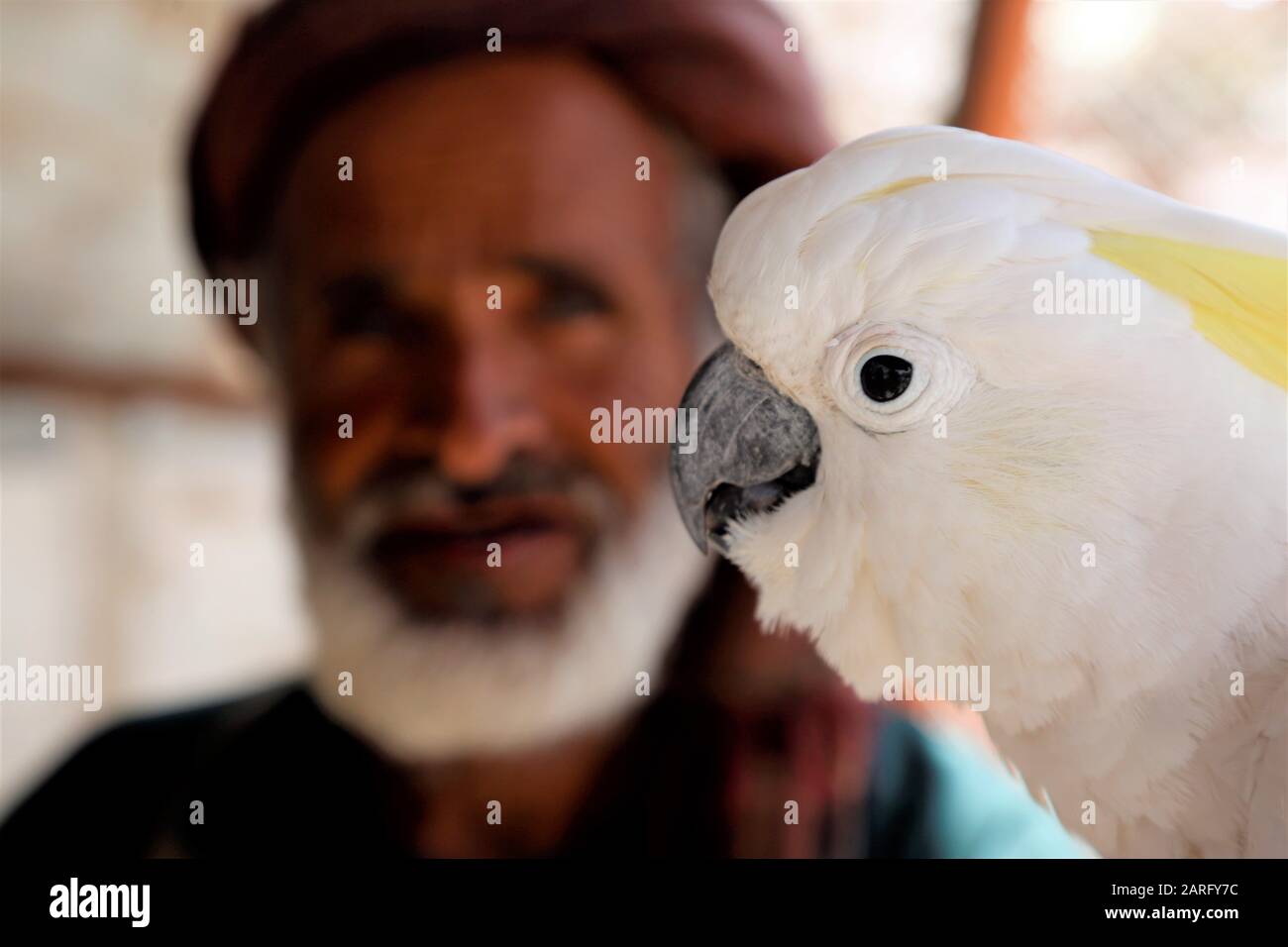 Sanaa, Yemen. 26th Jan, 2020. A zoo keeper stands by a parrot at a national zoo in Sanaa, Yemen, Jan. 26, 2020. Yemen's civil war has caused the collapse of local currency and escalation of food prices, making it hard to get enough food and medical care for animals in the zoo, including lions.TO GO WITH "Feature: Zoo lions starve to death in war-torn Yemen" Credit: Mohammed Mohammed/Xinhua/Alamy Live News Stock Photo