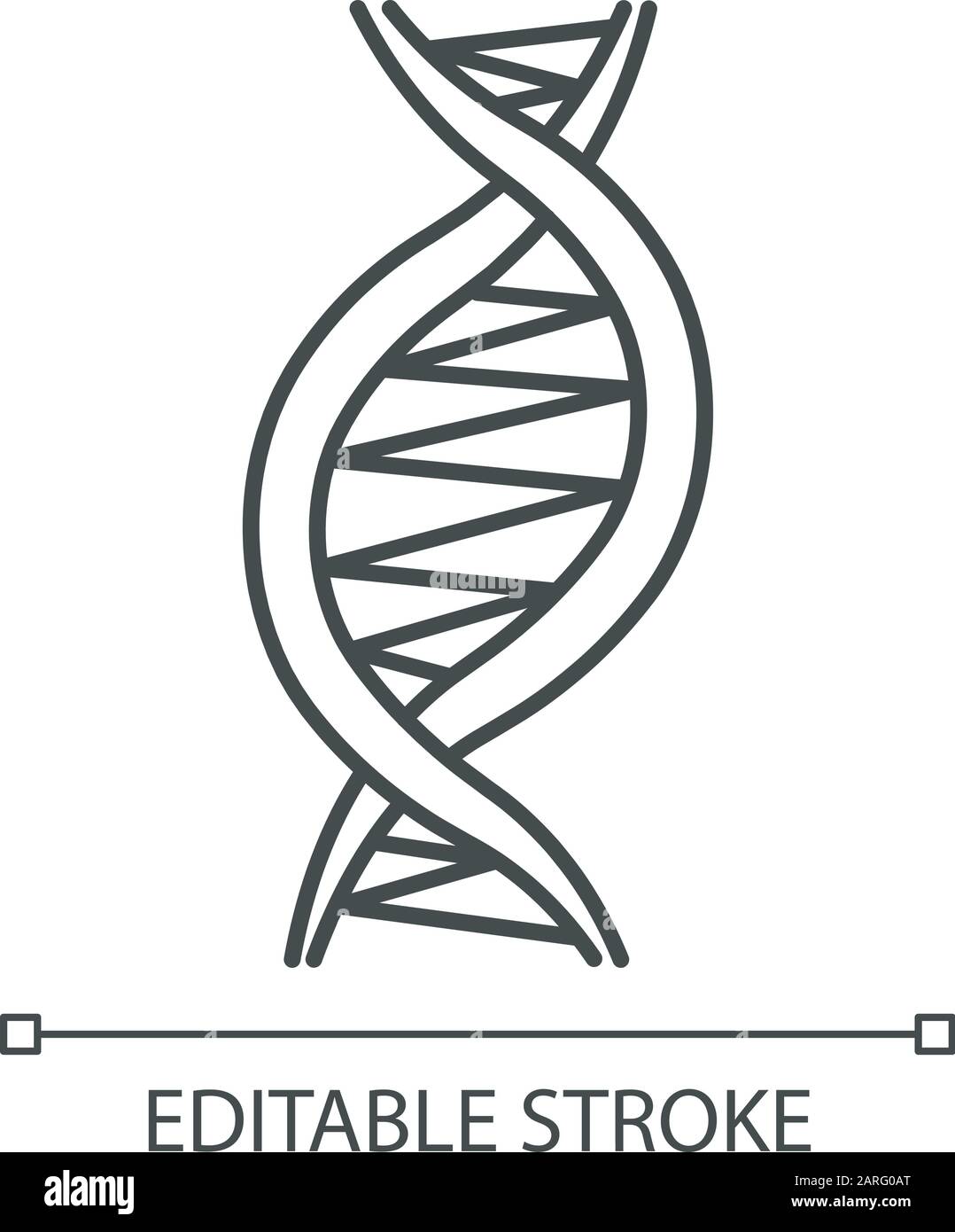 Left-handed DNA helix linear icon. Z-DNA. Deoxyribonucleic, nucleic acid structure. Genetic code. Genetics. Thin line illustration. Contour symbol. Ve Stock Vector