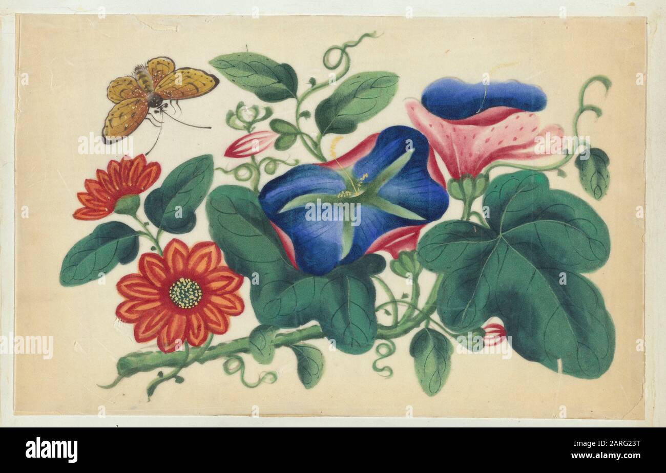 Flowers and butterfly. Chinese paintings. Date Created 1800 1899 (Approximate). Painting