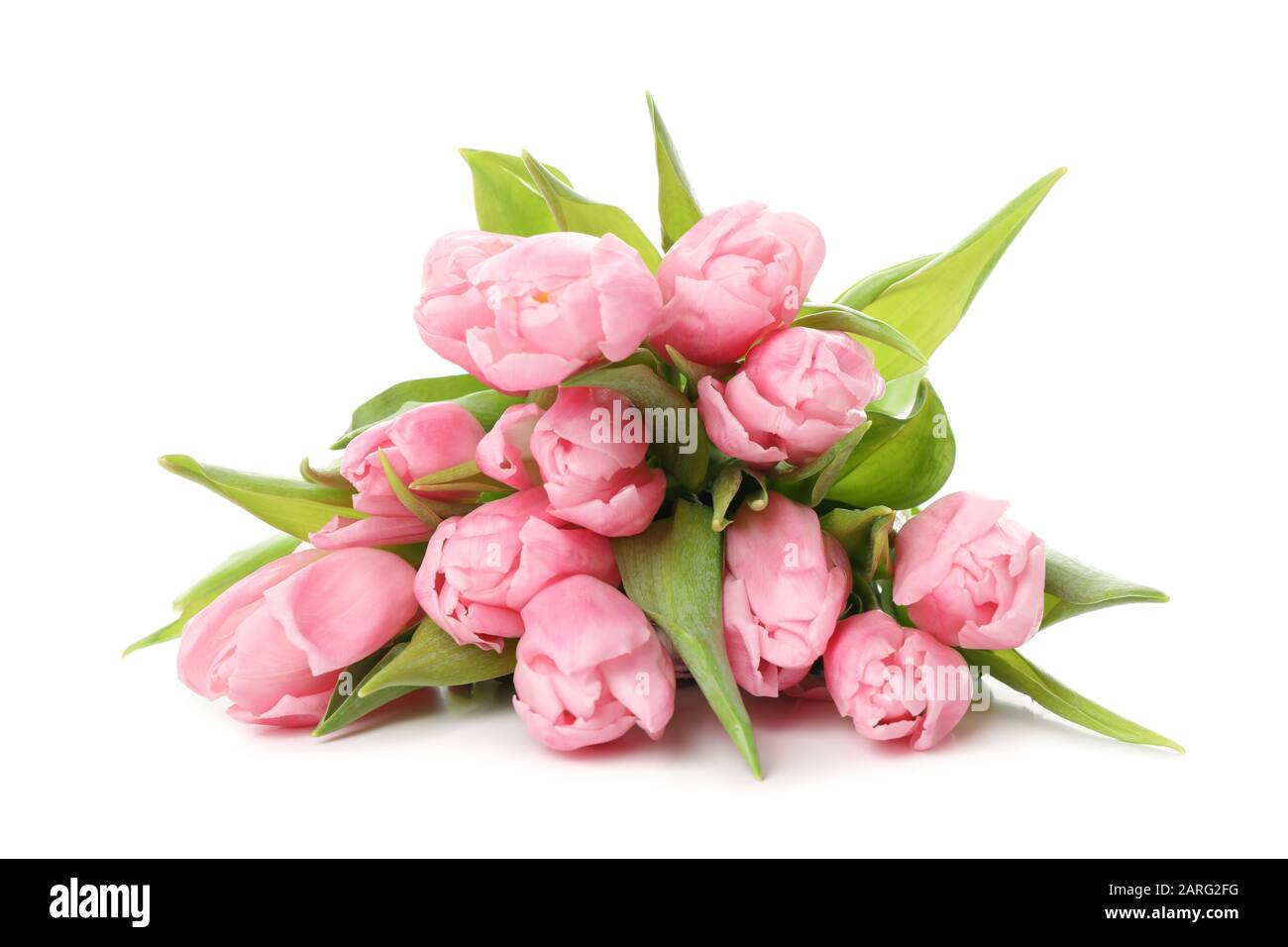 Bouquet of pink tulips isolated on white background Stock Photo - Alamy
