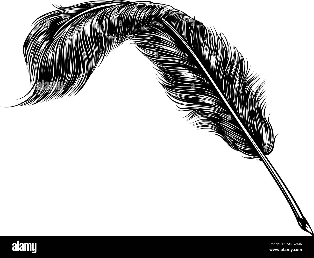 Writing Quill Feather Ink Pen Stock Vector